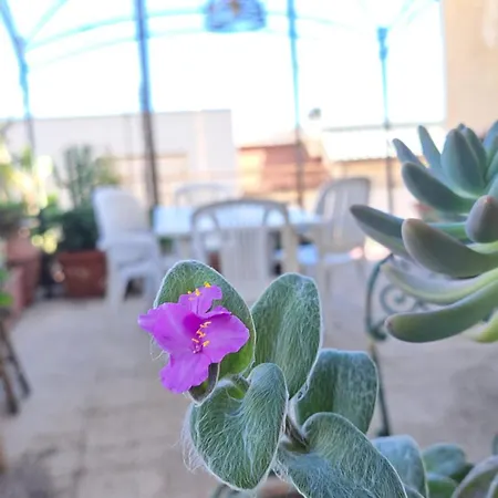 Apartmán Citta Giardino Řím