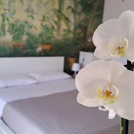 Apartmán Citta Giardino Řím
